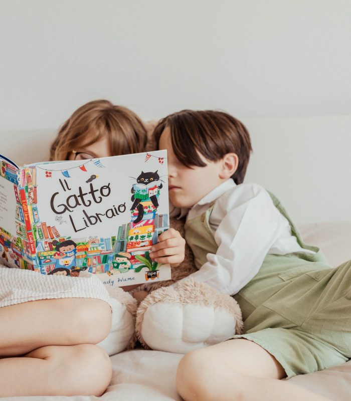 voglio fare il/la babysitter